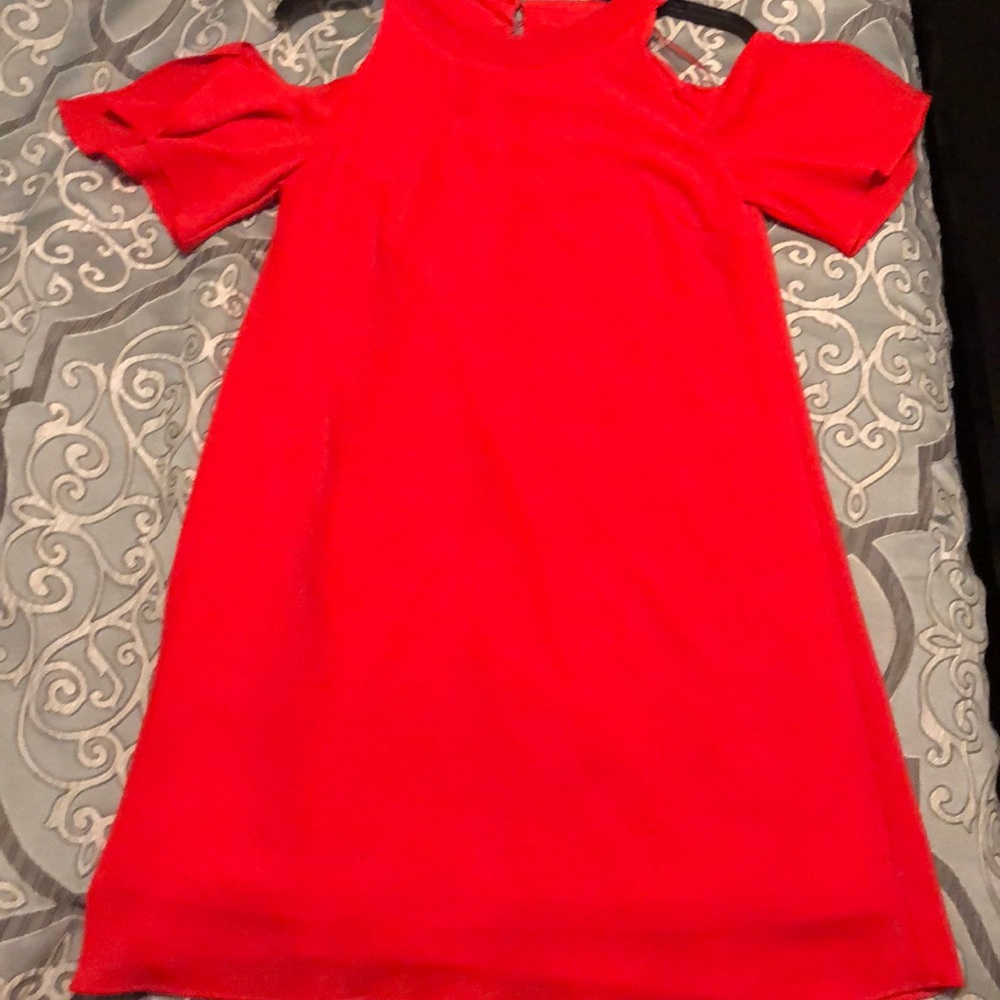 Zara Basic Collection Dress NEVER WORN